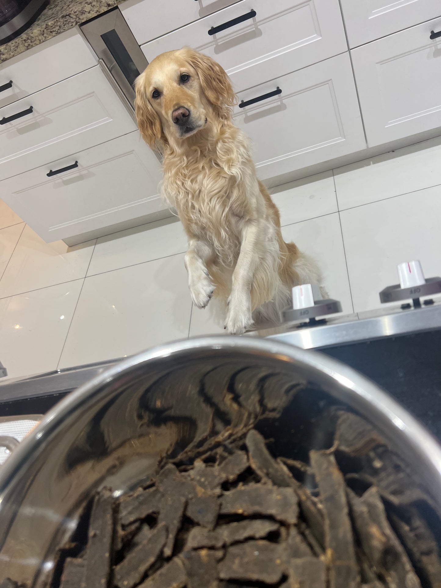 Pre-Order Now!!! Mia’s Dehydrated Chicken Liver Strips