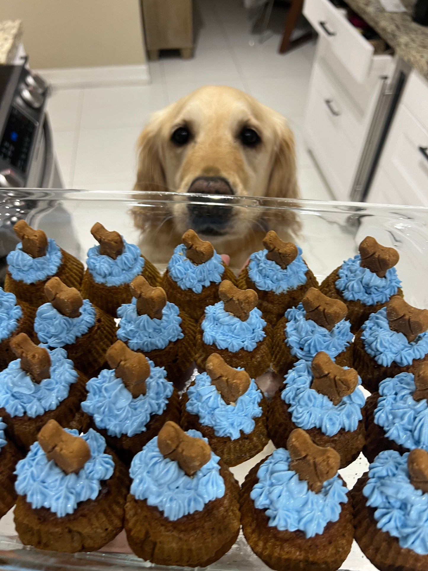 Pup Cupcakes! (12 pcs)